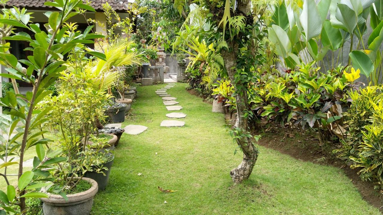 Putu'S Paradise Guesthouse Ubud  Ngoại thất bức ảnh